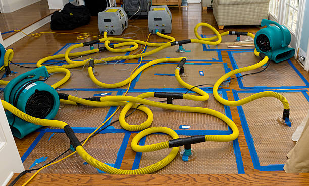 Professional Burst Pipe Water Damage technician working in Lakeview, WA